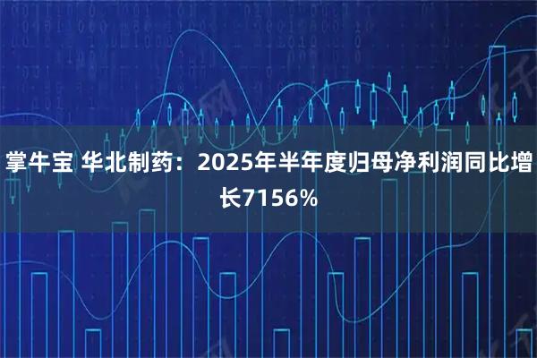 掌牛宝 华北制药：2025年半年度归母净利润同比增长7156%