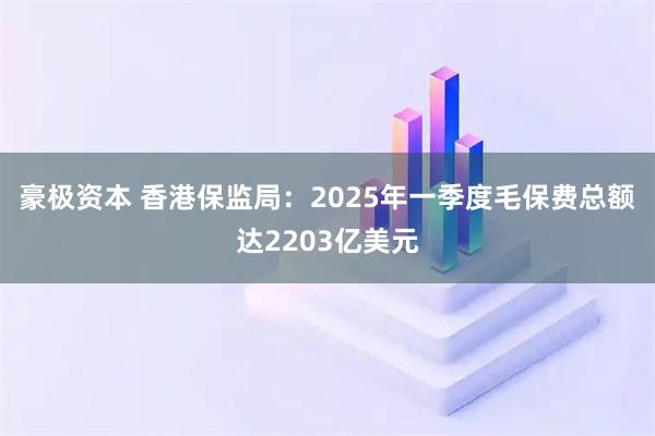 豪极资本 香港保监局：2025年一季度毛保费总额达2203亿美元
